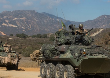 Scout and Vehicle Live Fire