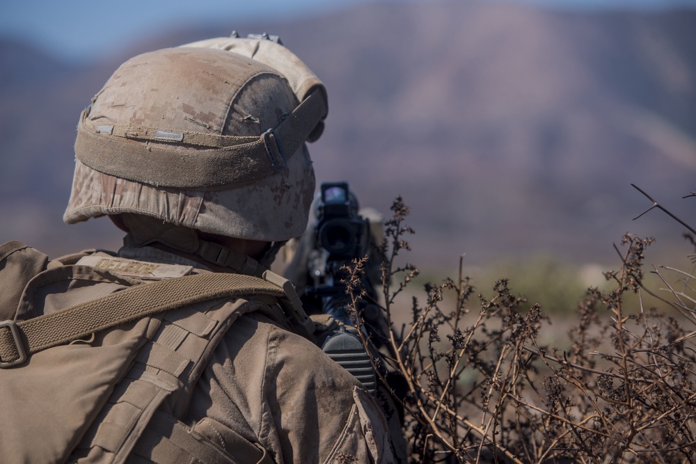 Scout and Vehicle Live Fire