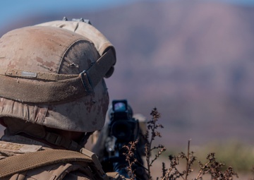 Scout and Vehicle Live Fire