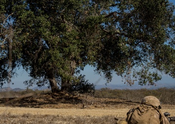 Scout and Vehicle Live Fire