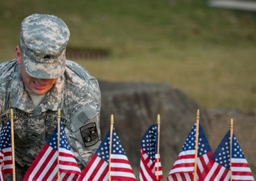 American flags being placed