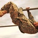 Best Warrior Competition at Ft. Bliss, Texas