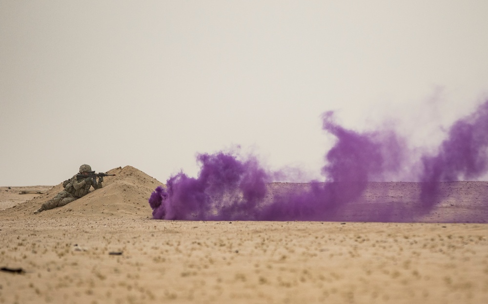 US Infantry Soldiers Assault Through the Desert: Live Fire Exercise