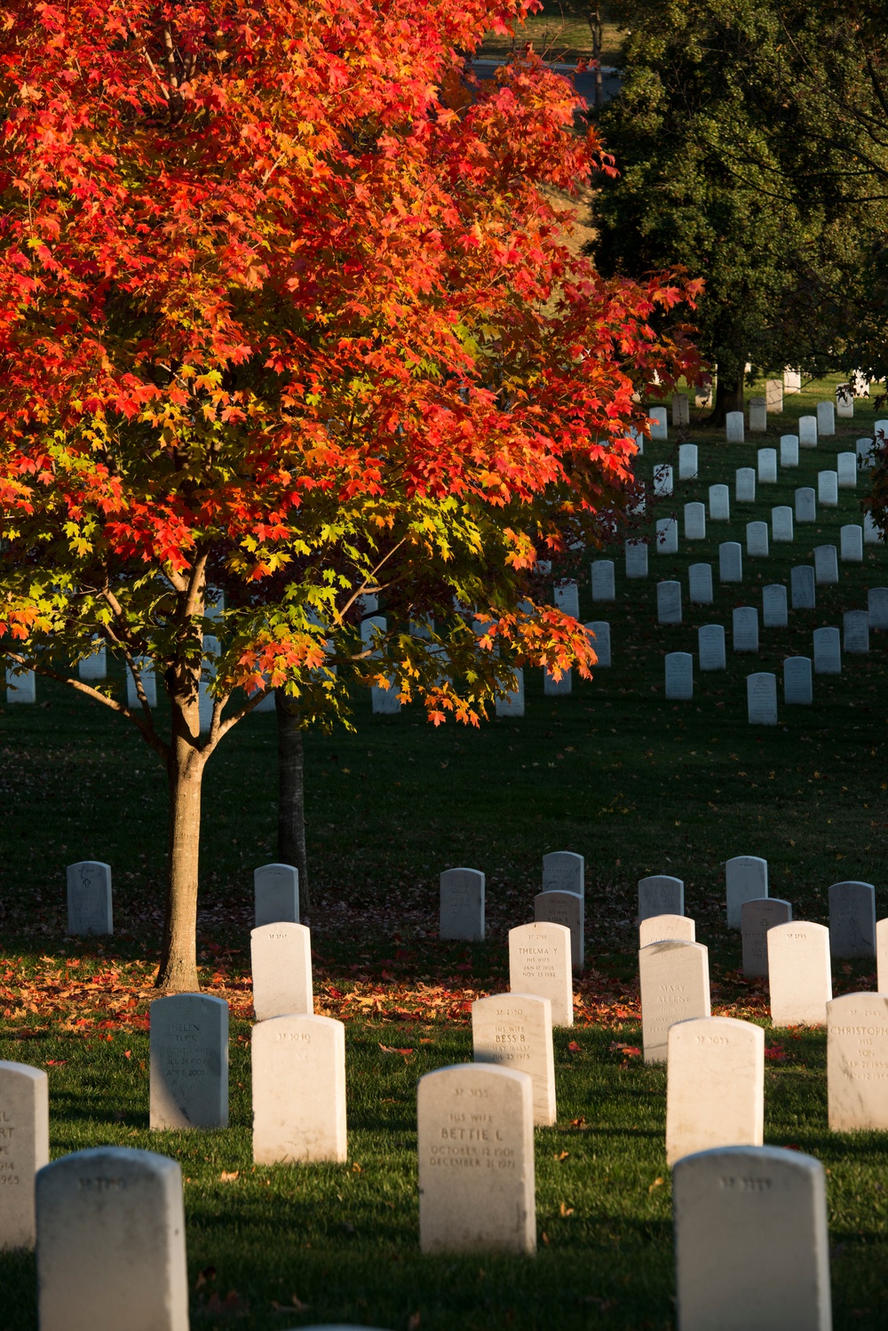 Autumn in Arlington National Cemetery