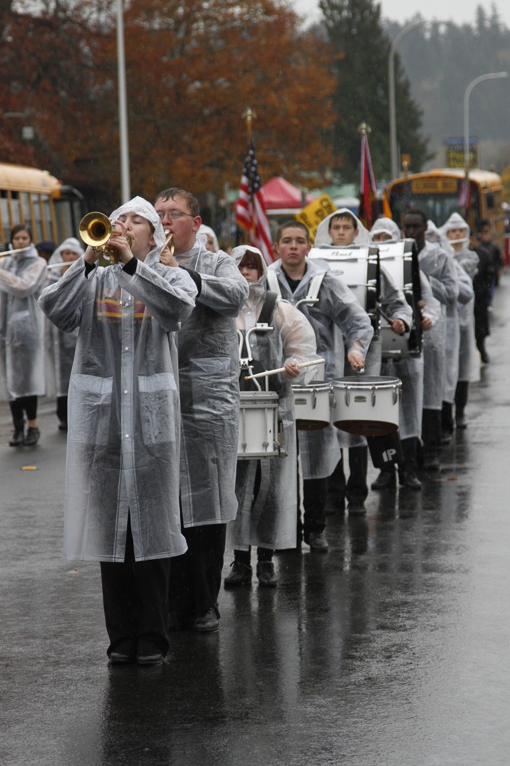 Auburn Veterans Day Parade