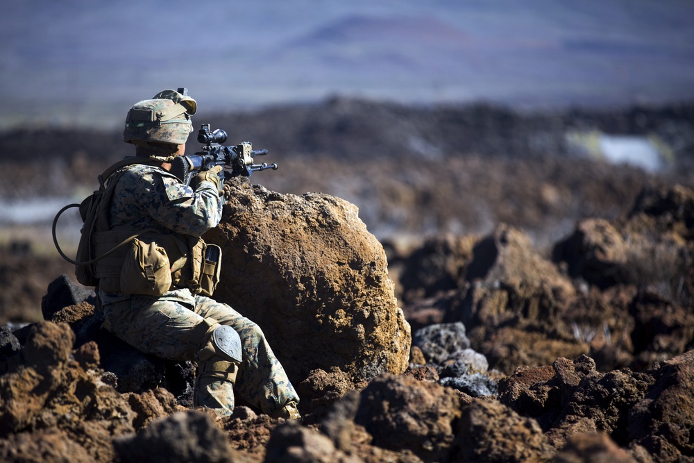 1/3 Alpha Company Assault