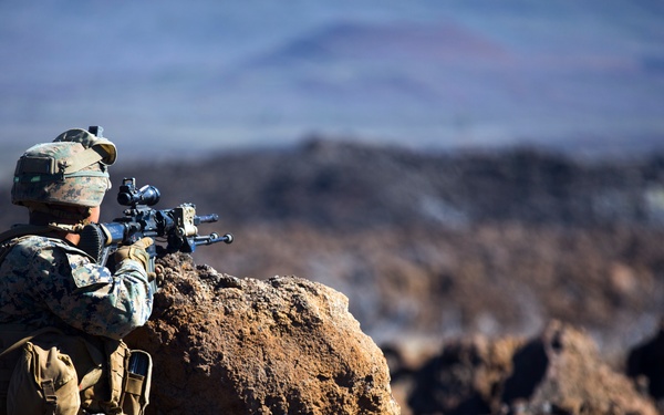 1/3 Alpha Company Assault