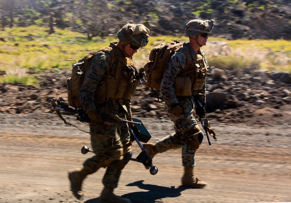 1/3 Alpha Company Assault