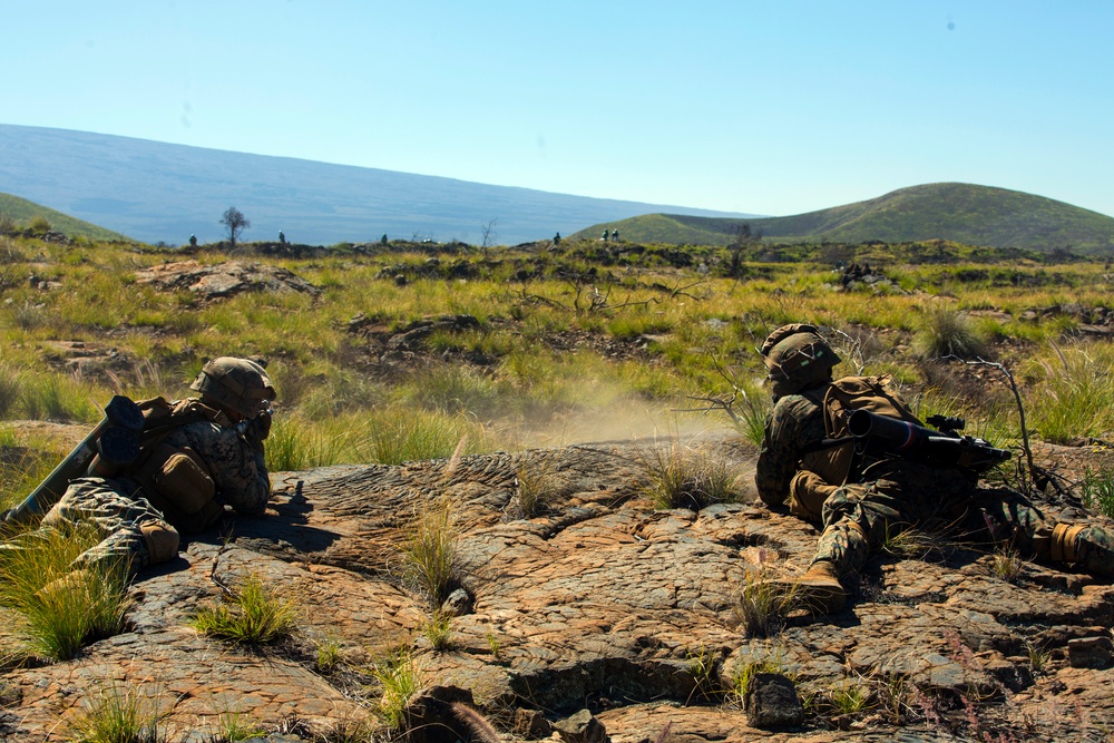 1/3 Alpha Company Assault