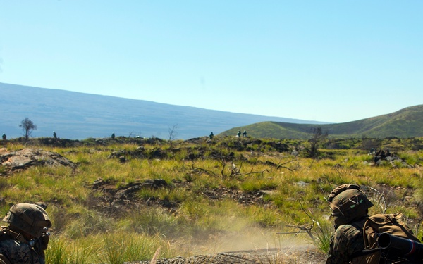 1/3 Alpha Company Assault