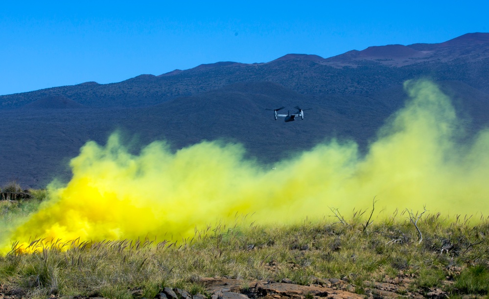 1/3 Alpha Company Assault