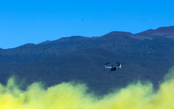 1/3 Alpha Company Assault