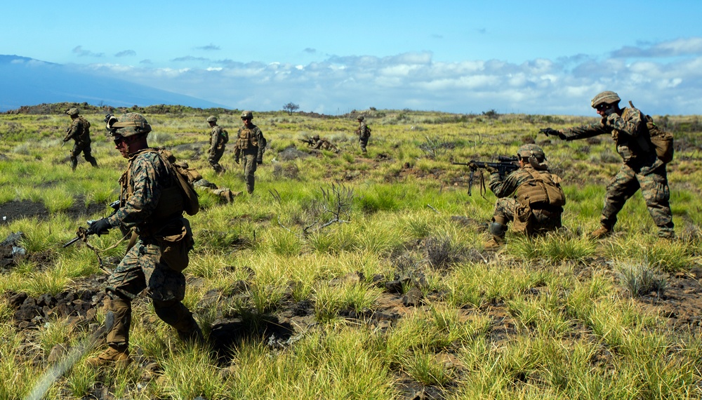 1/3 Alpha Company Assault