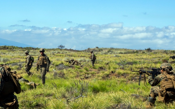 1/3 Alpha Company Assault