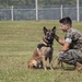 Military Working Dog Aggression Training