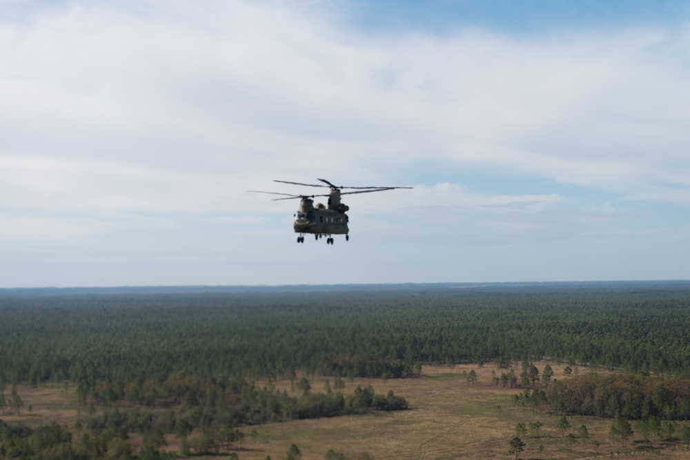 Chinook in Flight