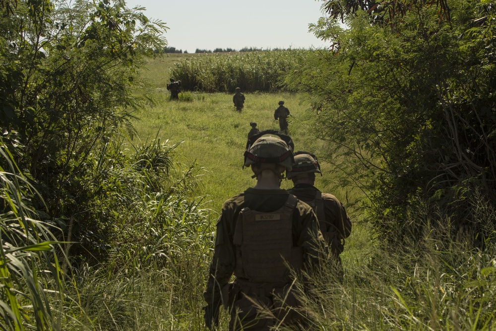 Marines Raid the Island Of Ie Shima