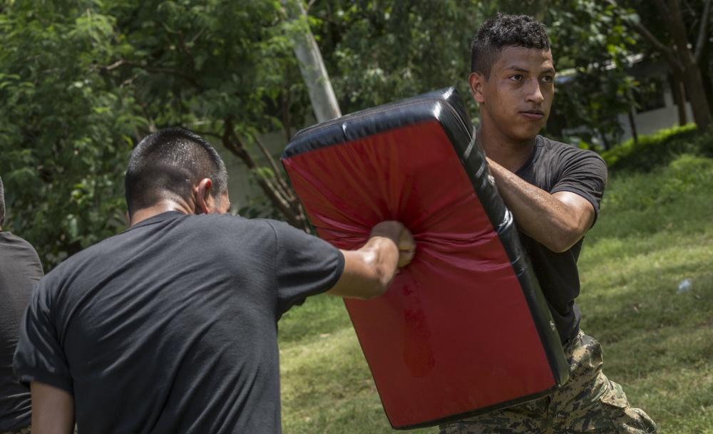 Marine Corps Martial Arts Training, SPMAGTF-SC