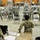 Practice is key to success against future natural disasters
