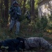 Soldiers learn tactical skills through training