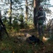 Soldiers learn tactical skills through training