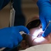 Little teeth, big smile: children visit dental