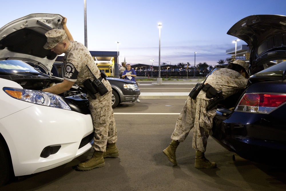 Security Augmentation Force Operations