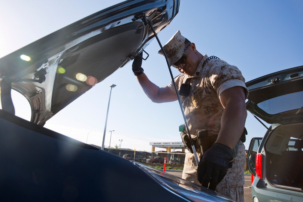 Security Augmentation Force Operations