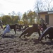 Recruit Sustainment Program training at Camp Smith