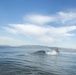 Coast Guard Station Golden Gate conducts surf training