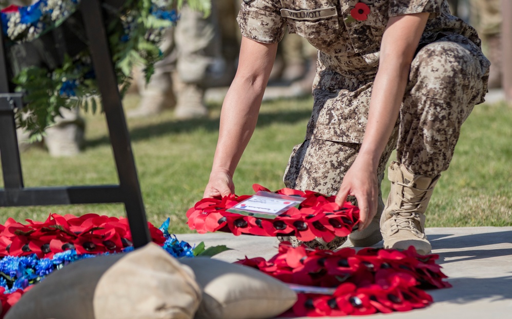 Paper Poppies Bloom in the Desert for Armistice Day