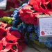 Paper Poppies Bloom in the Desert for Armistice Day