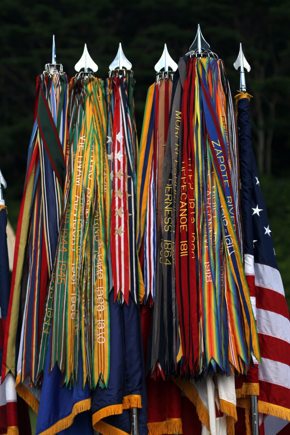 Hawaii’s Governor addresses veterans, service members during Veterans Day ceremony