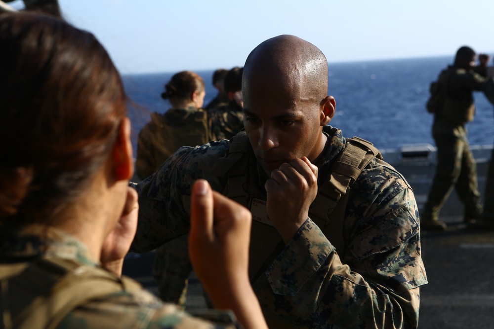 DVIDS - Images - 22nd MEU Marines Train for MCMAP Brown Belt [Image 3 of 6]