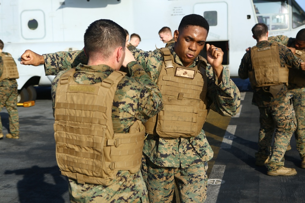 22nd MEU Marines Train for MCMAP Brown Belt