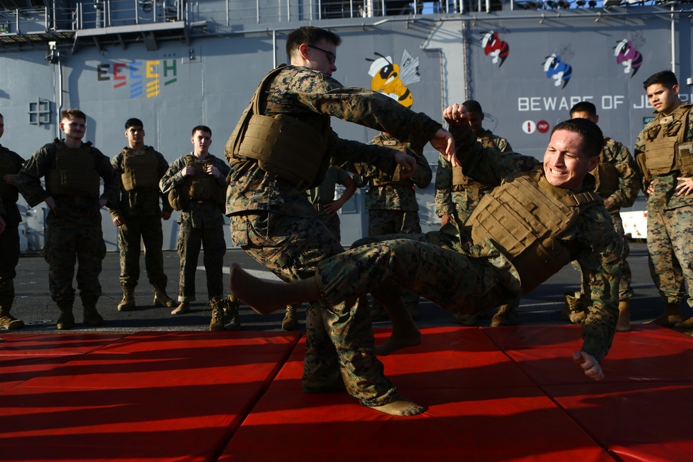 22nd MEU Marines Train for MCMAP Brown Belt