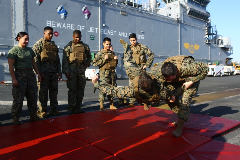 22nd MEU Marines Train for MCMAP Brown Belt