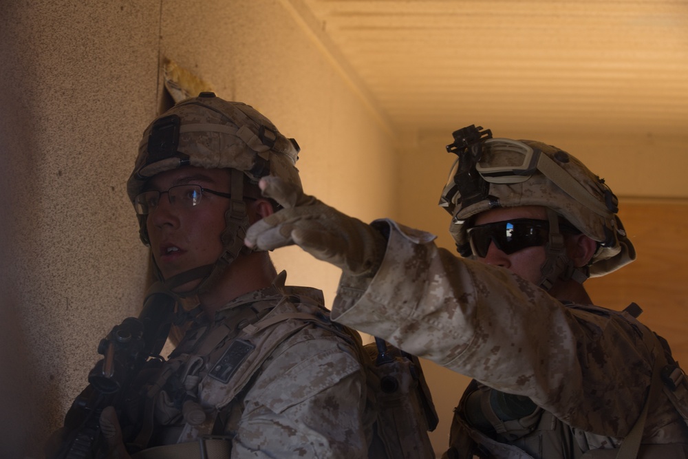 Integrated Training Exercise 1-17 Patrolling and Vehicle Check Points