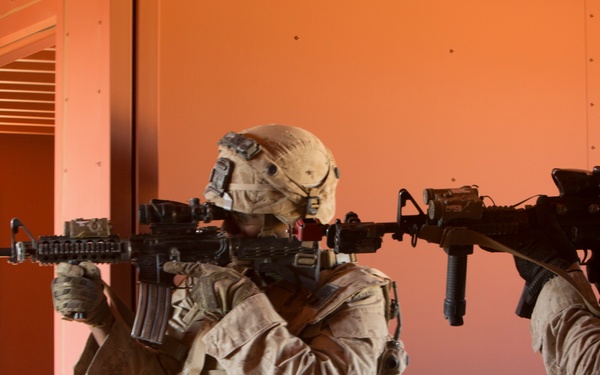 Integrated Training Exercise 1-17 Patrols/ECP/VCP