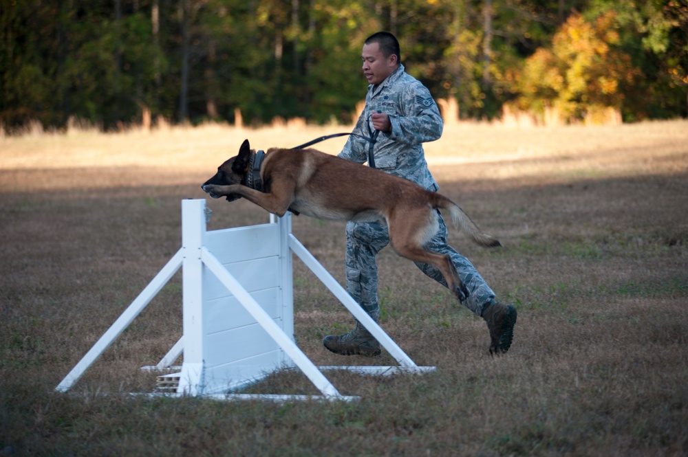 HMX-1 K9 Iron Dog Competition