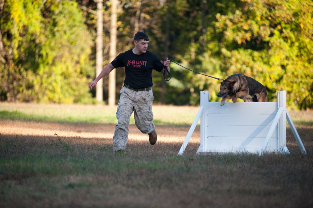 HMX-1 K9 Iron Dog Competition