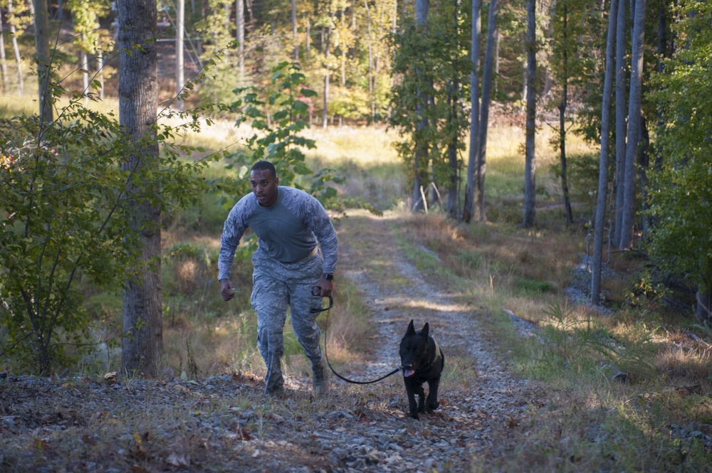 HMX-1 K9 Iron Dog Competition