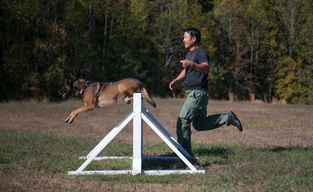 HMX-1 K9 Iron Dog Competition