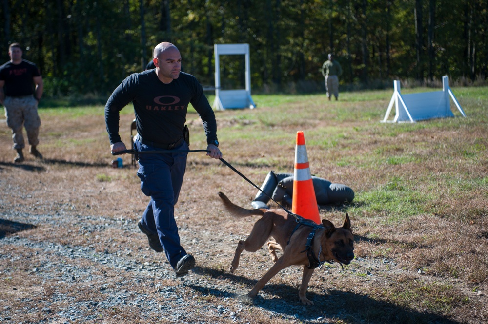 HMX-1 K9 Iron Dog Competition