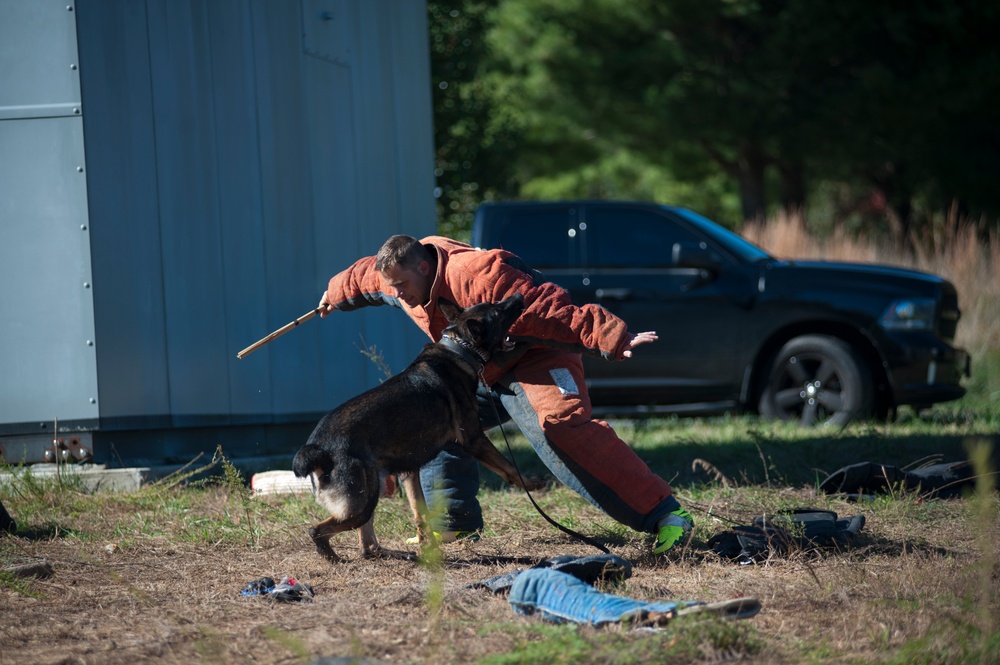 HMX-1 K9 Iron Dog Competition