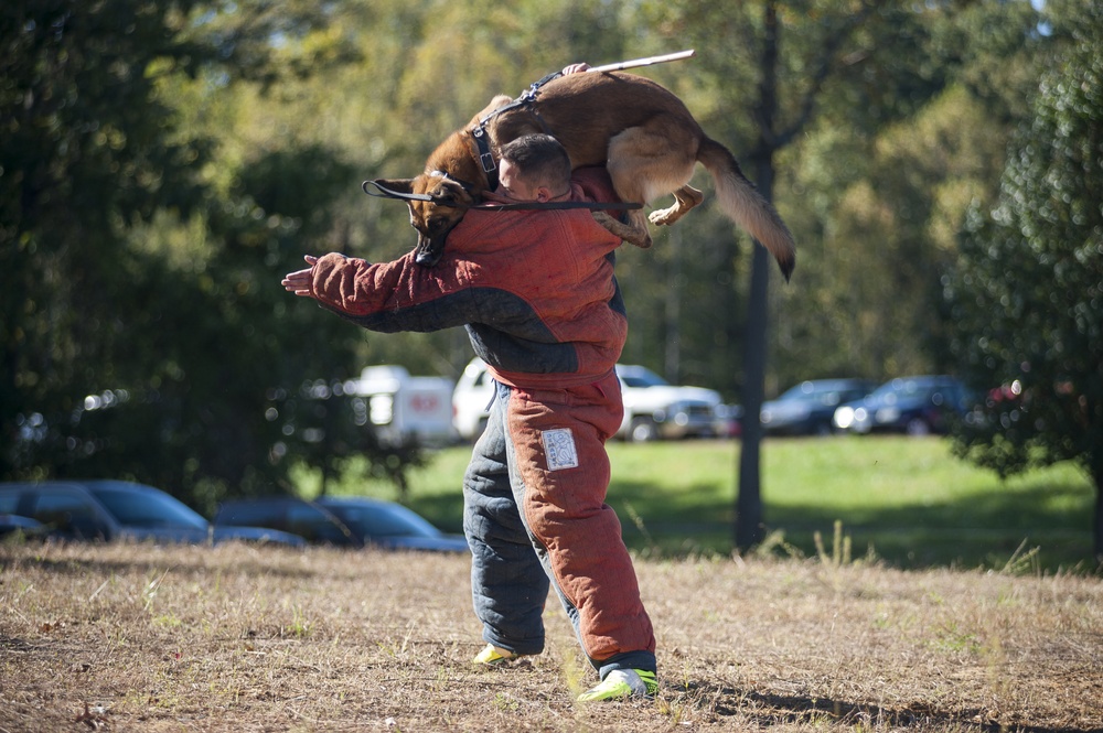 HMX-1 K9 Iron Dog Competition