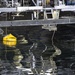 Carderock Division supports energy innovation with Wave Energy Prize tests