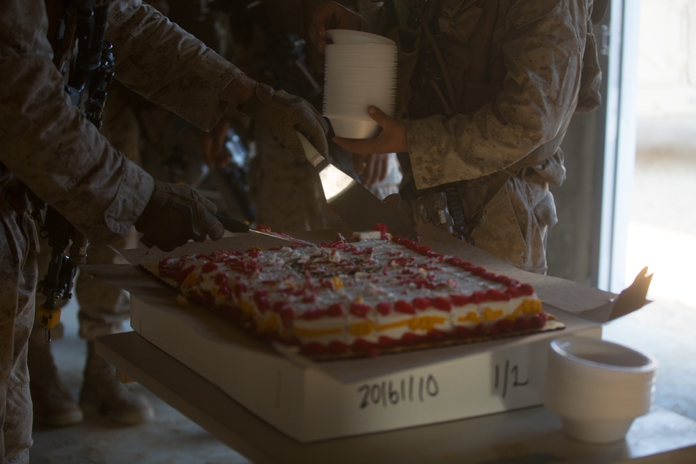 Integrated Training Exercise 1-17 1/2 241st Birthday Celebration