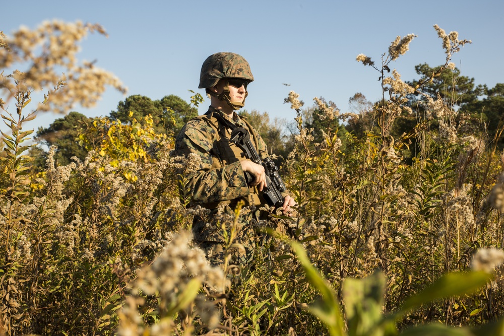 Good to go: CLB-8 conducts CERTEX for upcoming deployment