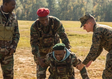 Good to go: CLB-8 conducts CERTEX for upcoming deployment